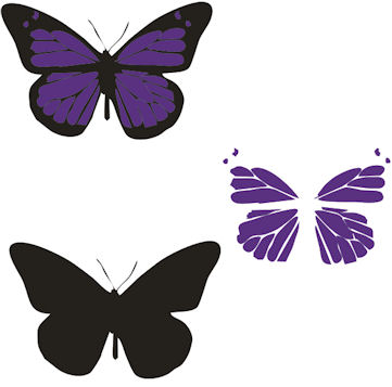 butterfly